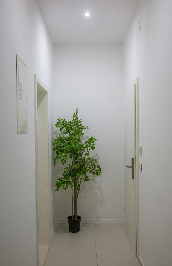 Apartments Victoria ดูบรอฟนิก ภายนอก รูปภาพ